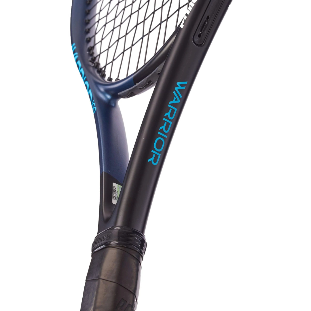 Prince Warrior 100 300G