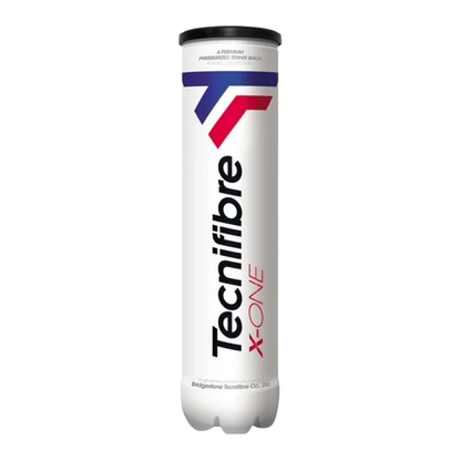 Tarro Pelotas Tecnifibre X-One X4