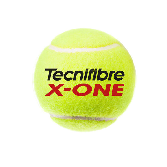 Tarro Pelotas Tecnifibre X-One X4